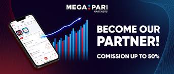 megapari partners dashboard statistics